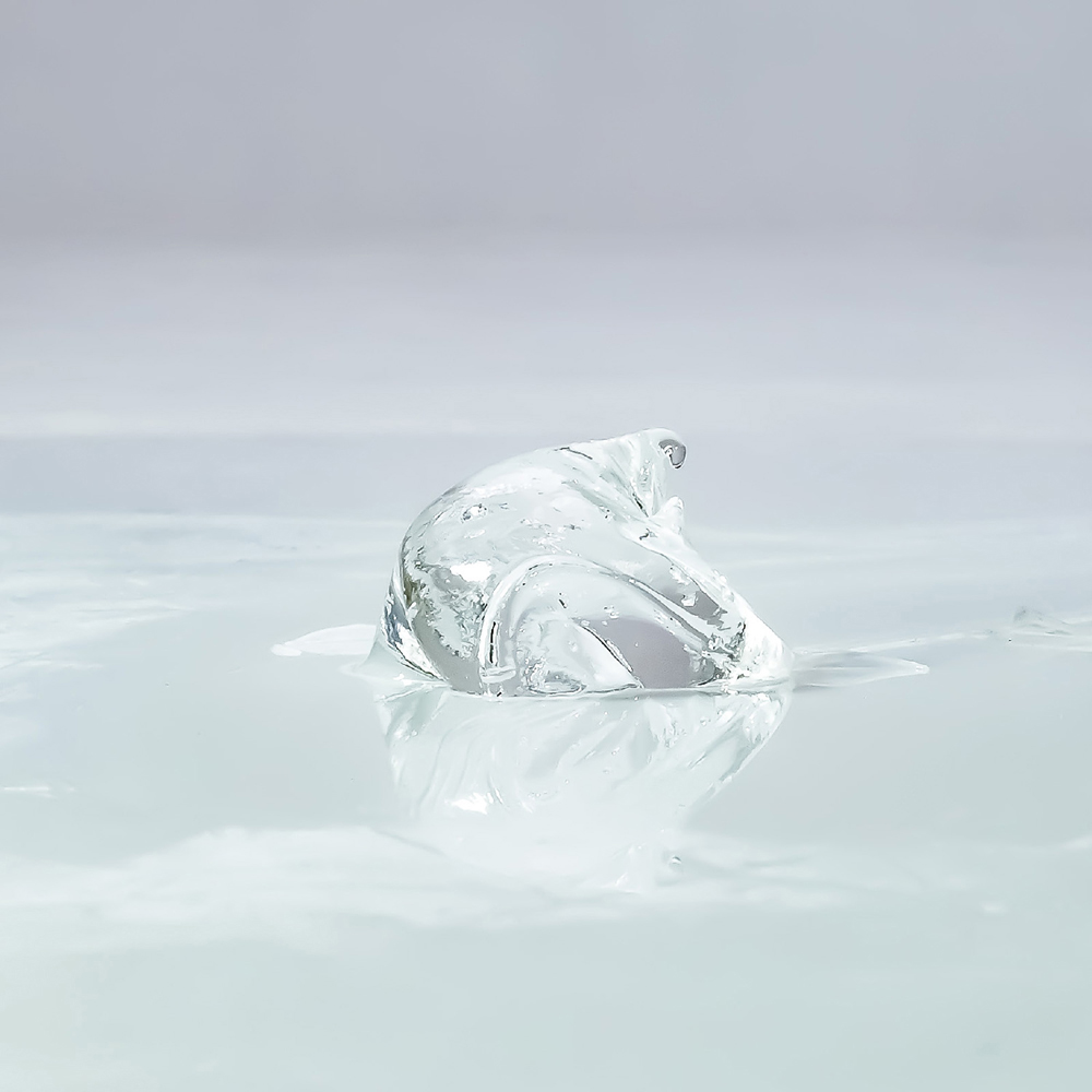 24040035-5.jpg